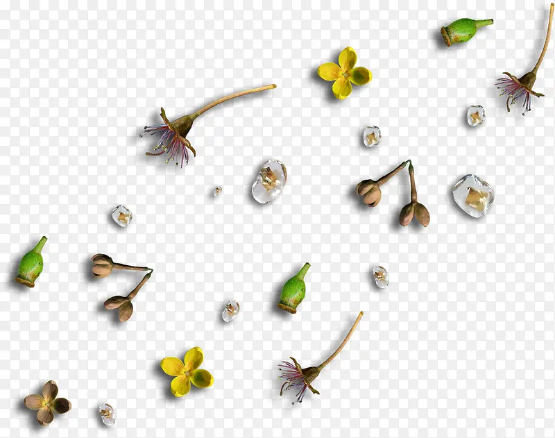 ���Կɰ�����-������