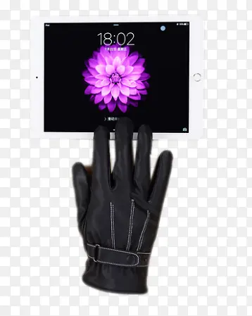 �����ˮ�ﳵŮʿ��������-������