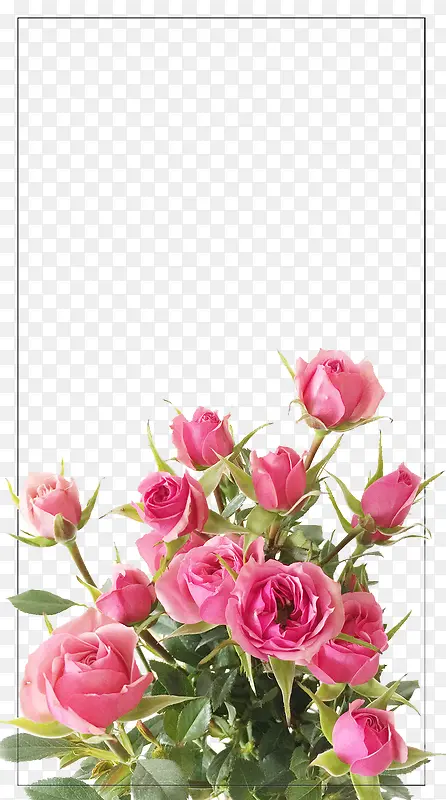 ����ʱ�л���ͼ������-������