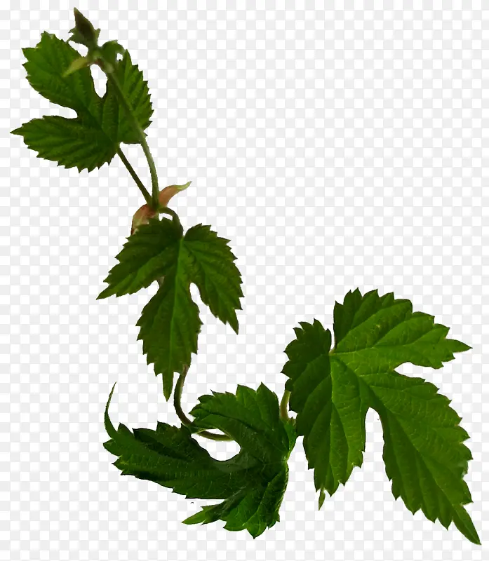 ����ͼ���زĻ���ʸ��ͼ�ز�-������