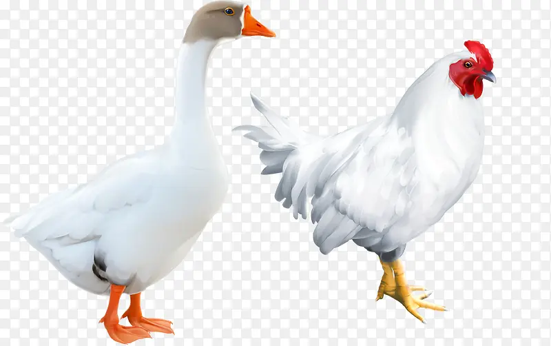 ʸ����������زİ׶칫��-������