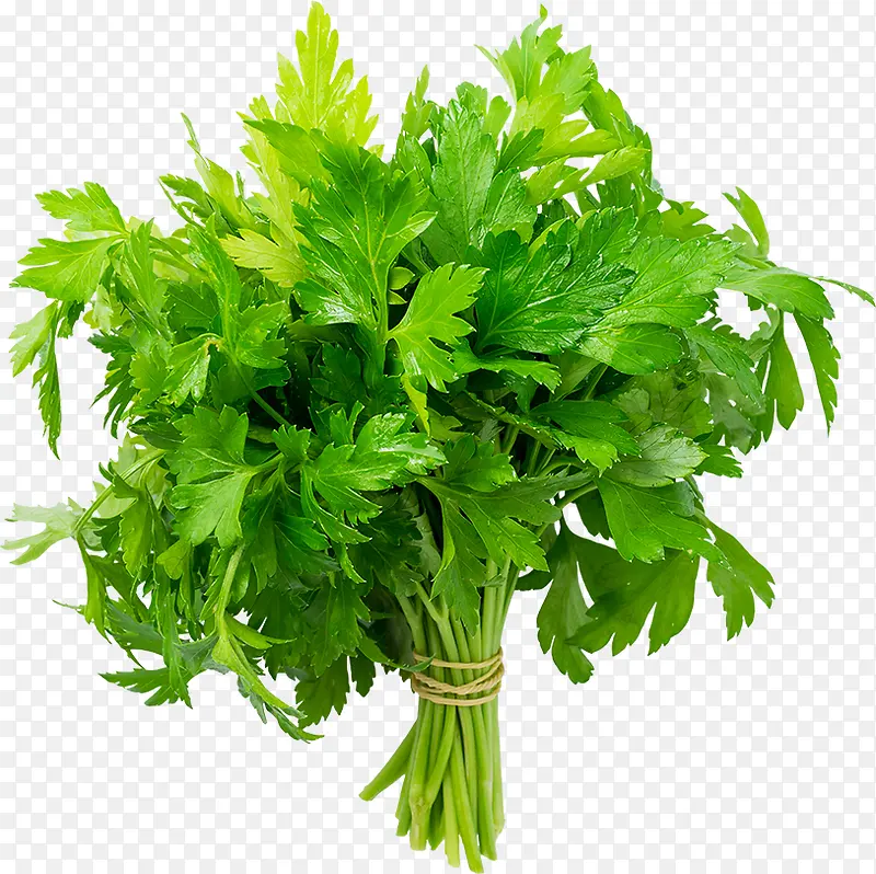 һ�����-������