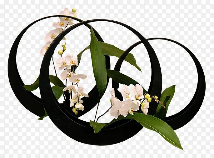 ��ɫ������-������