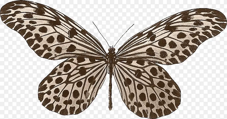 ���ƺ���-������