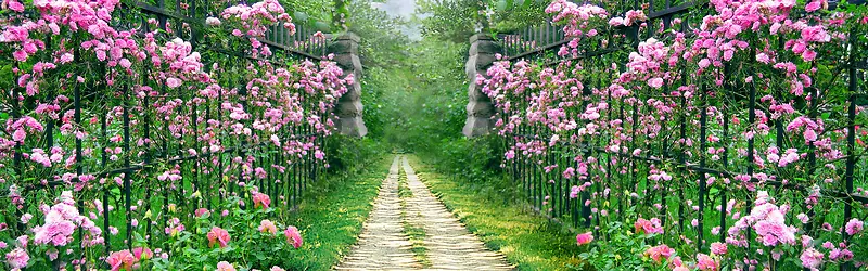 Ψ����Լ������·��������-������