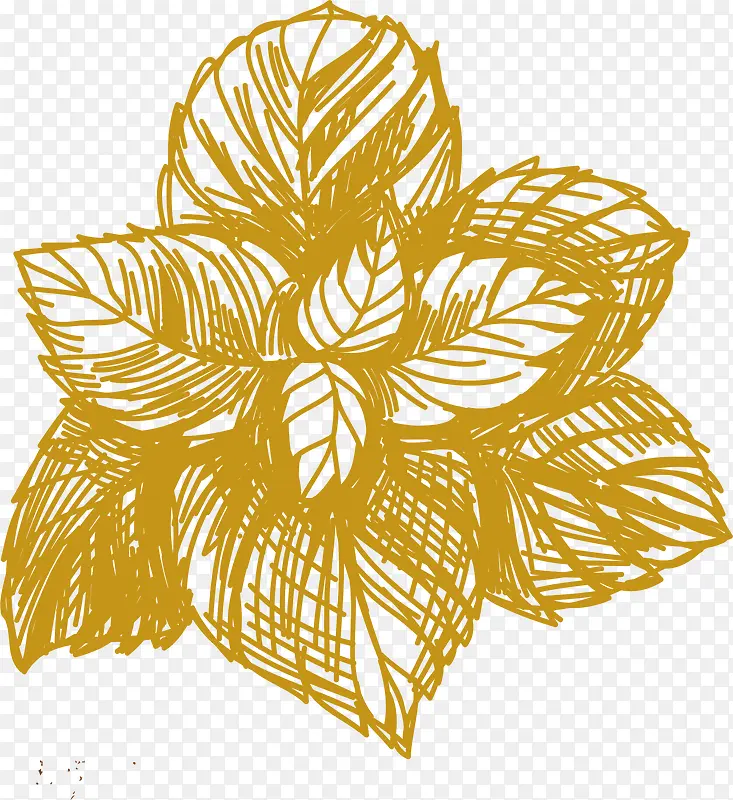 ��Ҷ���ʳ������-������