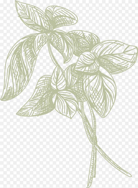 Ҷ�ӻ��ʳ������-������