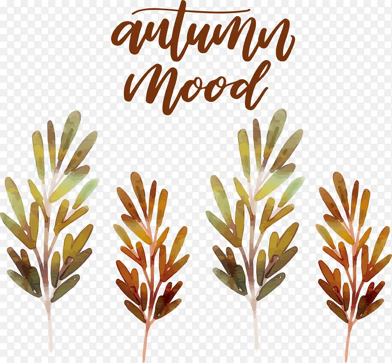 ������ˮ����֦-������