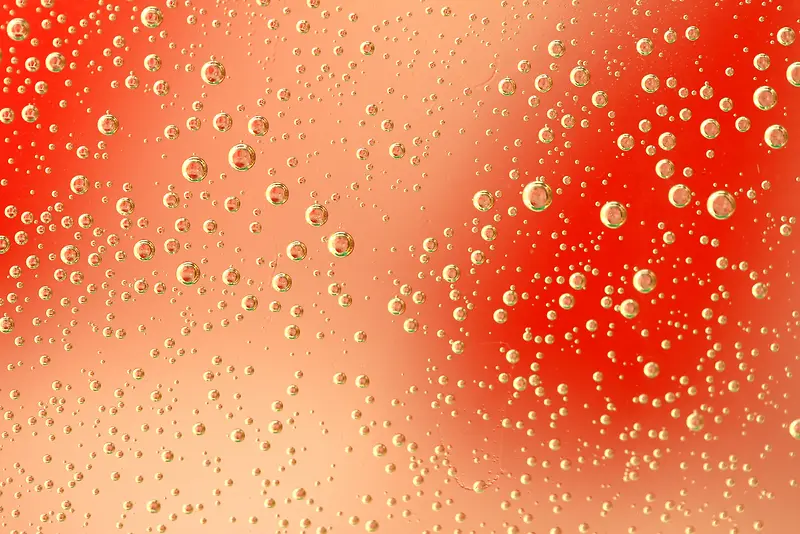 ��ɫ�����ϵ�����-������