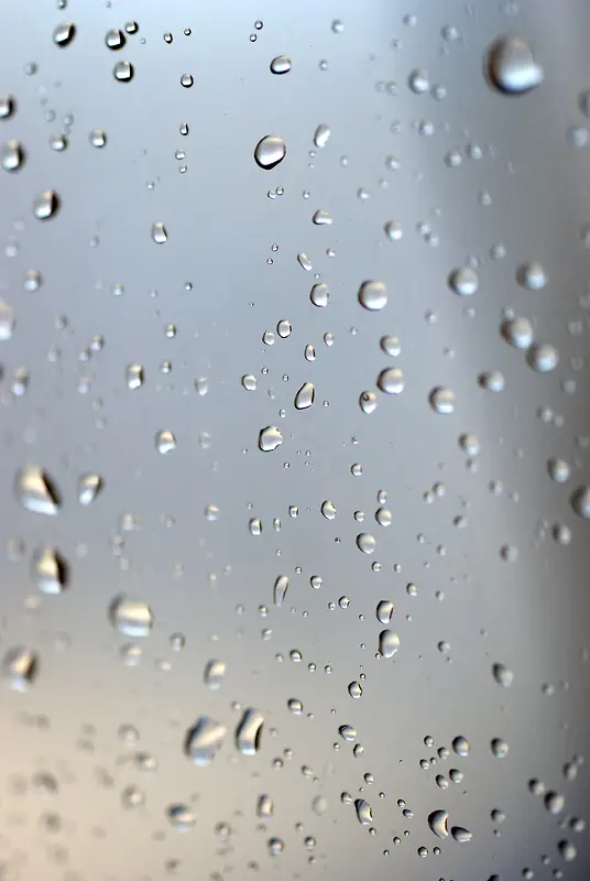 ¶�鲣������-������