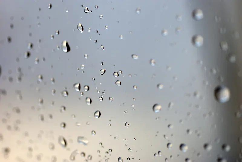 �����ϵ�ˮ��-������