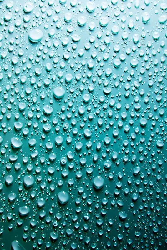 ¶��ˮ�α���-������