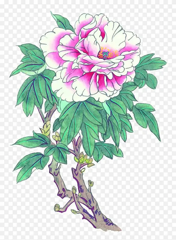 �ֻ�ĵ��-������