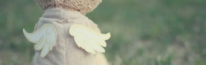 ��Լ��ܰ��������-������