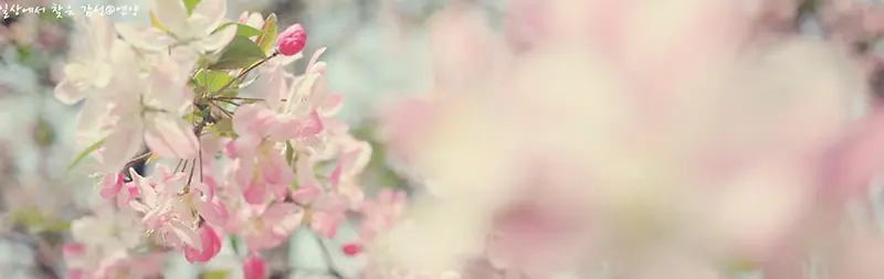 �Ա���ܰ���Ź�汳��ͼƬ-������