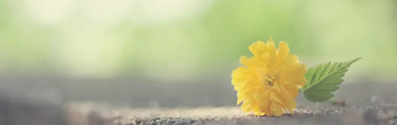 ���»�ɫ���亣������-������