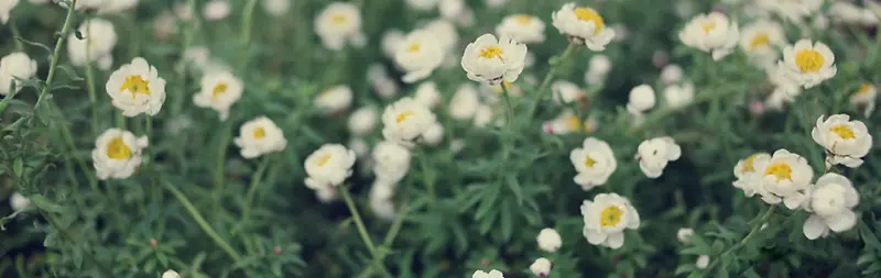 Ψ����ɫ���亣������-������