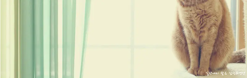 ��Լ���ﺣ������-������