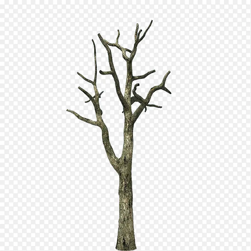 �ִ���Լ��ɫ��֦-������