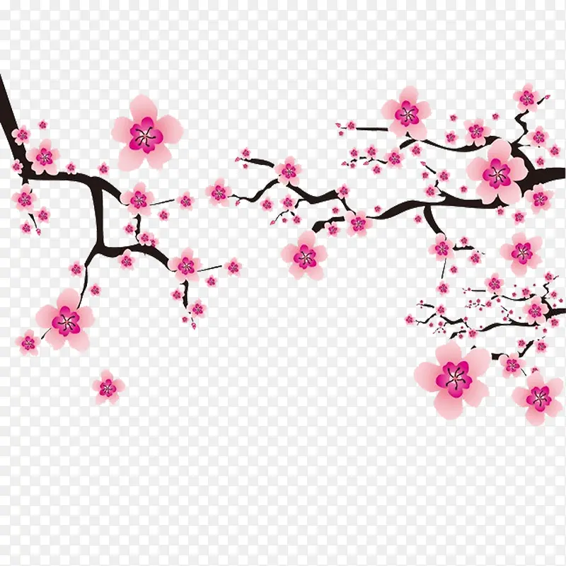 �ִ���Լ��ɫ��֦-������