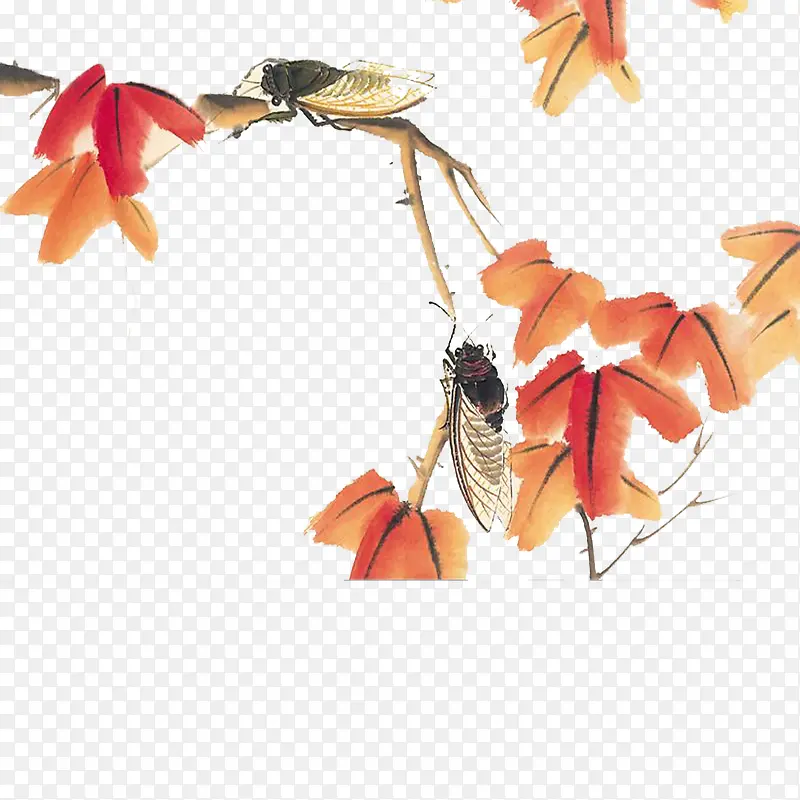 �ִ���Լī��ɫ��֦-������