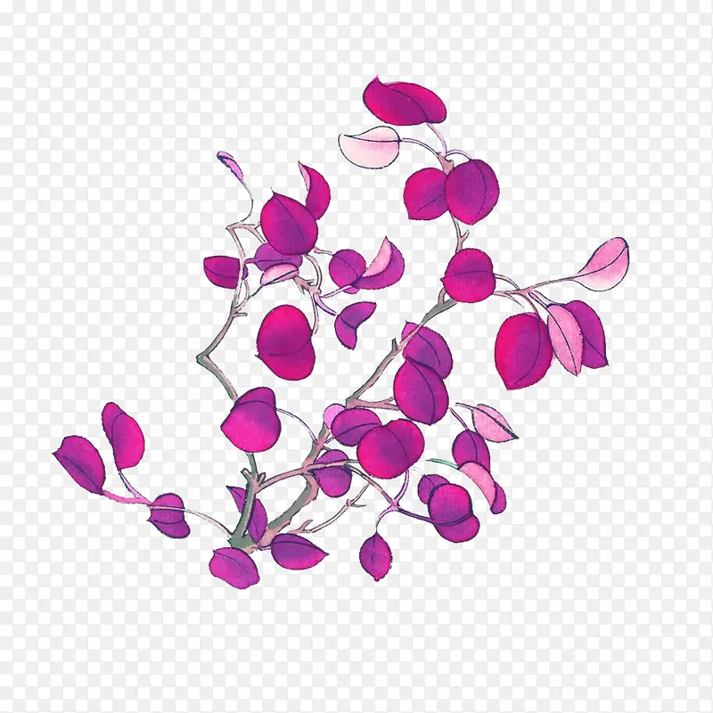 �ִ���Լ��ɫ��֦-������