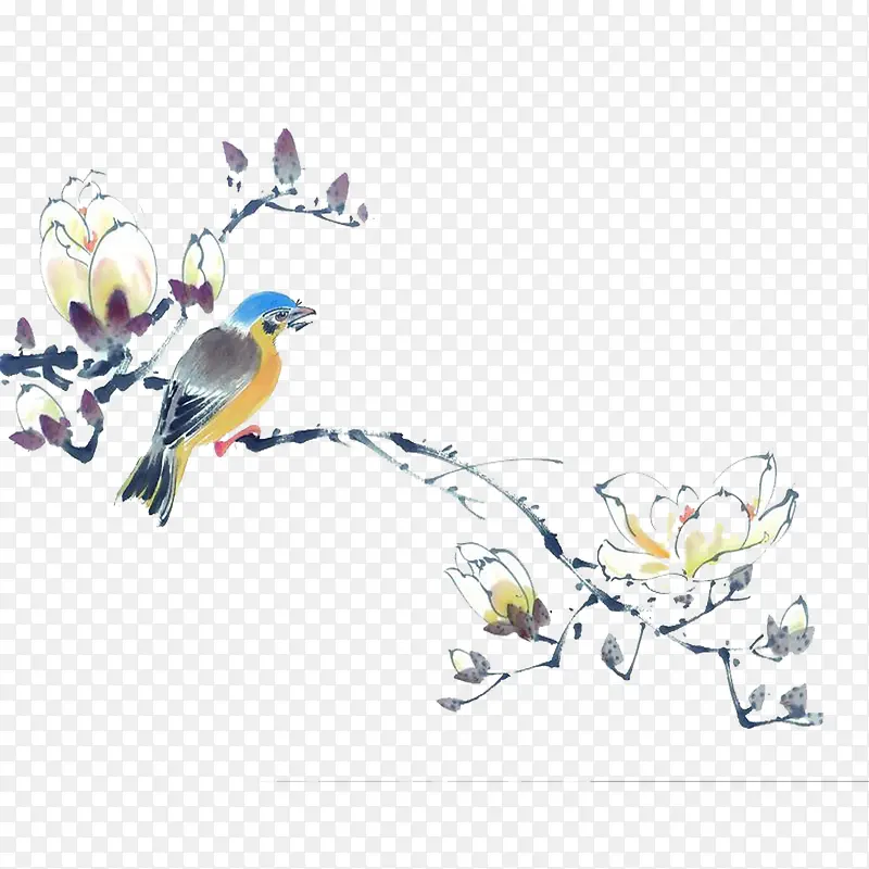 �ִ���Լī��ɫ��֦-������