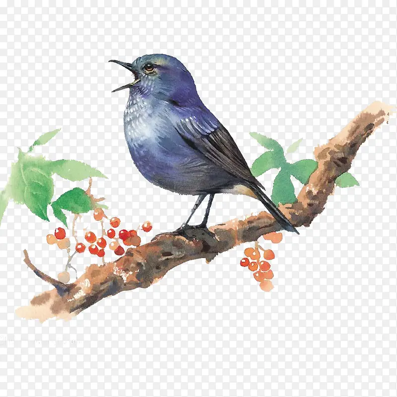 �ִ���Լ��ɫ��֦-������