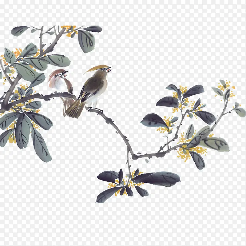 �ִ���Լī����֦-������