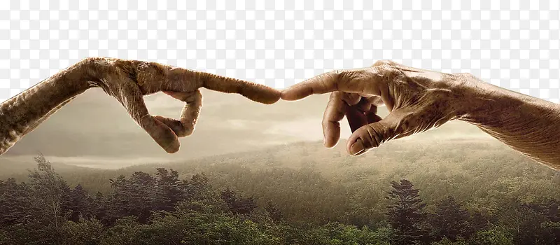 ���ϵ��ֶ��ֱ���ͼ-������