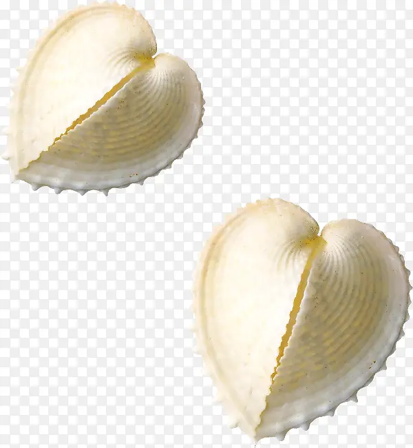 ������-������