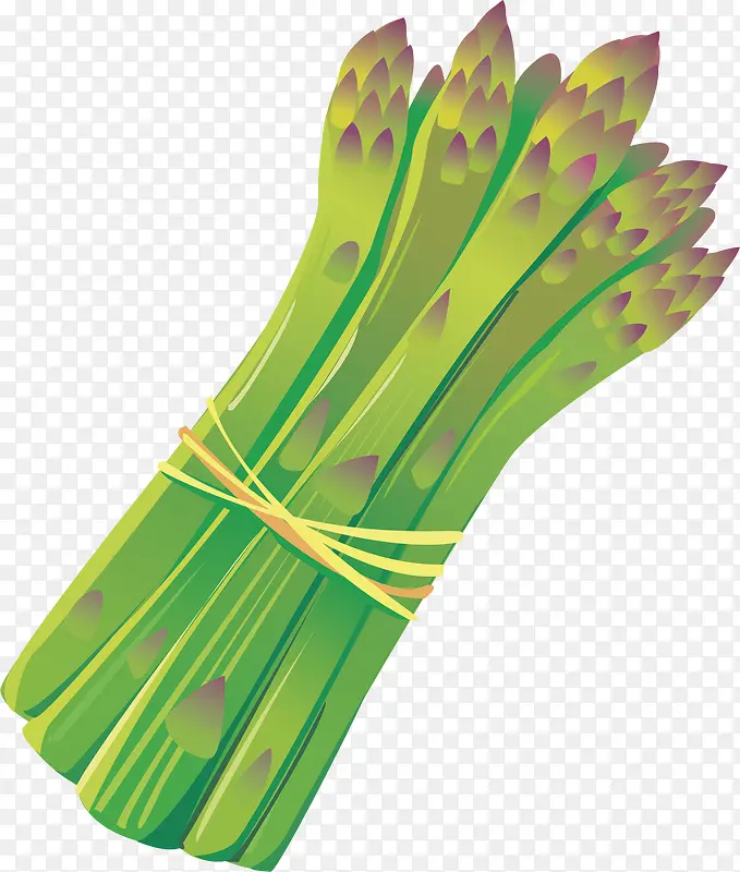 ������ʳ������-������