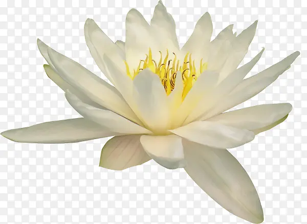 ����ͼ���ʻ�����-������