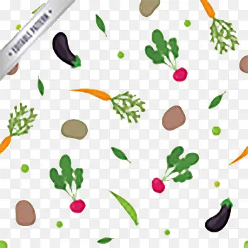 �߲˱���װ��-������