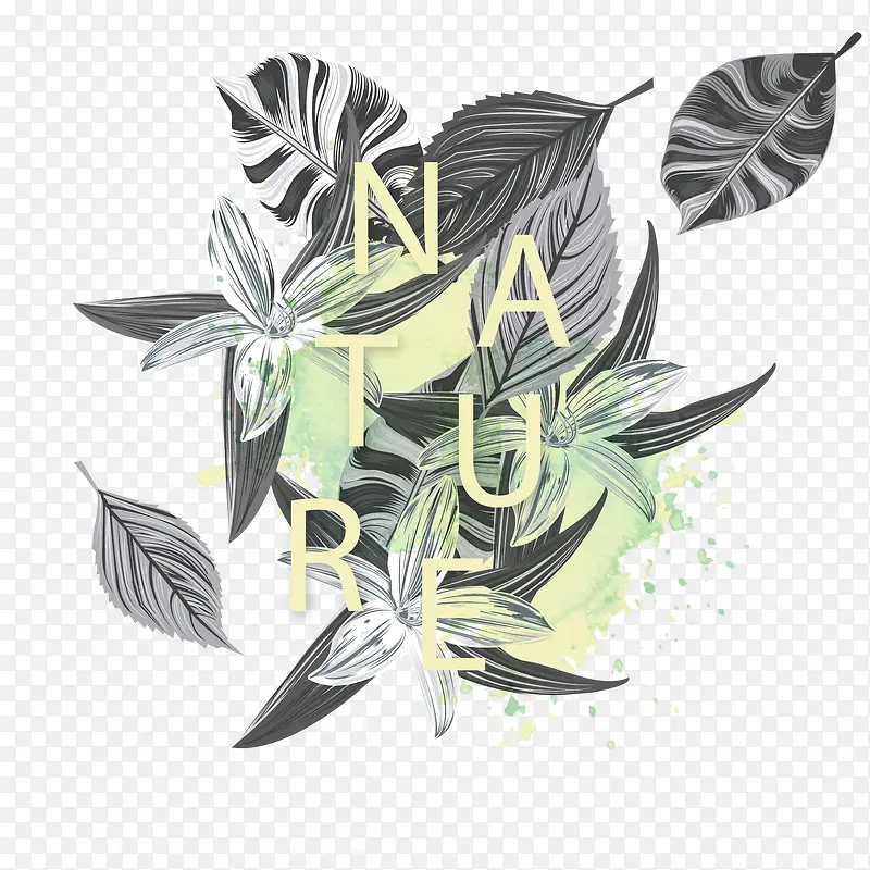 �ֻ�Ҷ���ز�-������