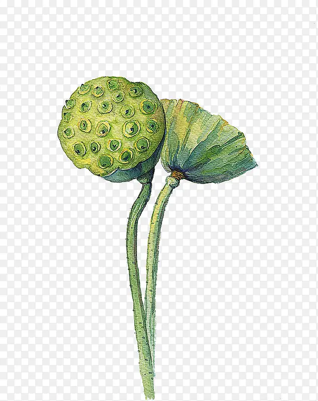 ˮ������-������