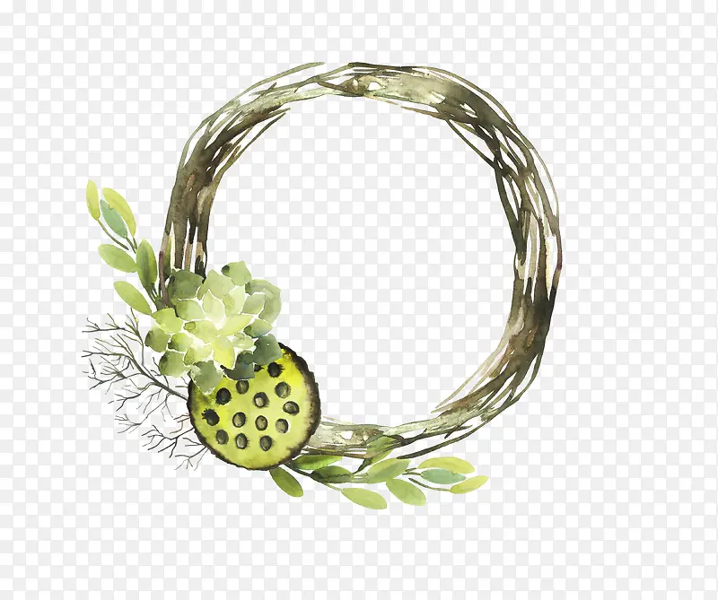 ��֦Բ��-������