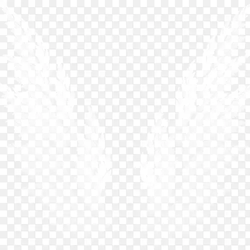 �߶Գƽǵ���-������