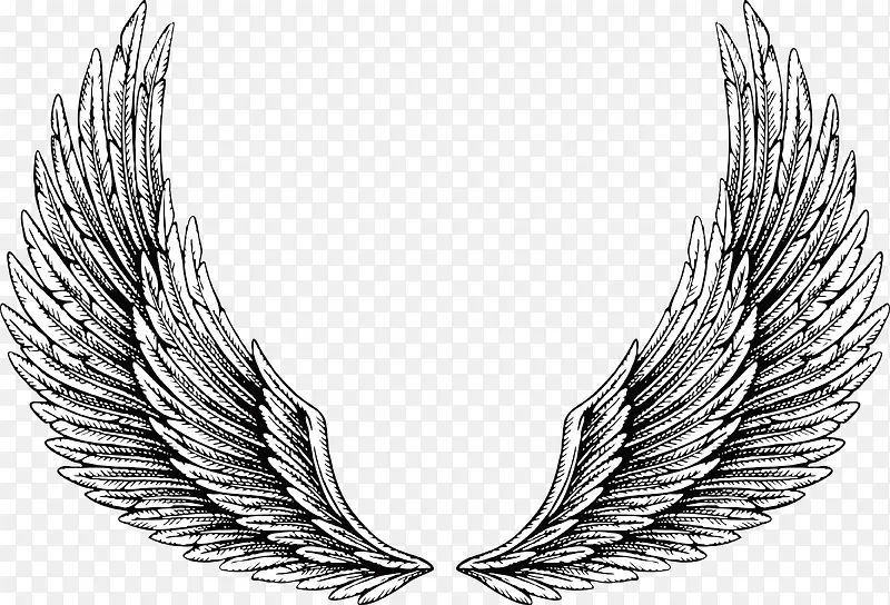 ����-������