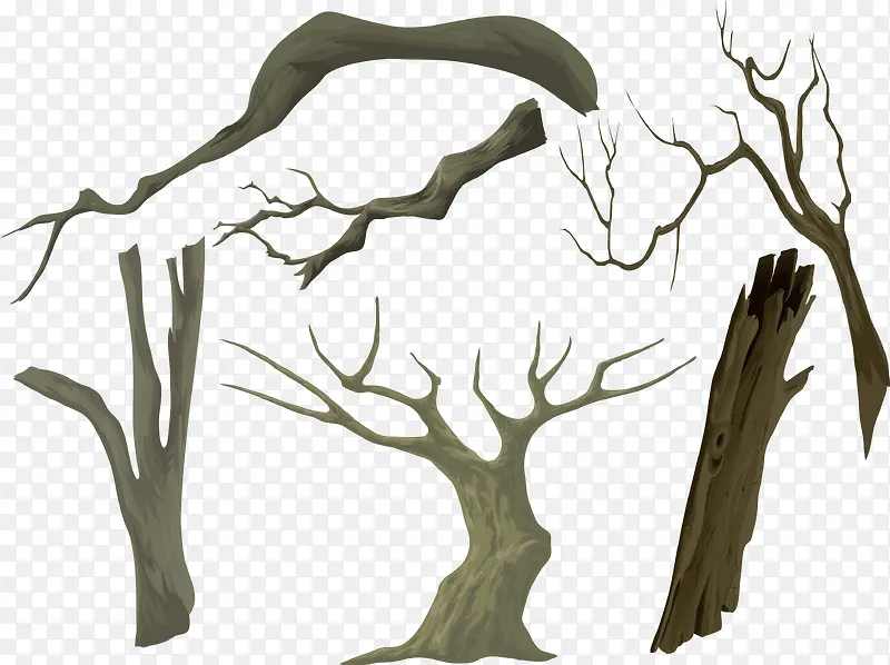 ����֦ʸ��-������