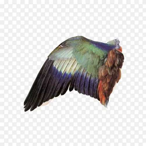 ��������д�ֻ�ͼ-������