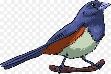 �ֻ������ë����-������