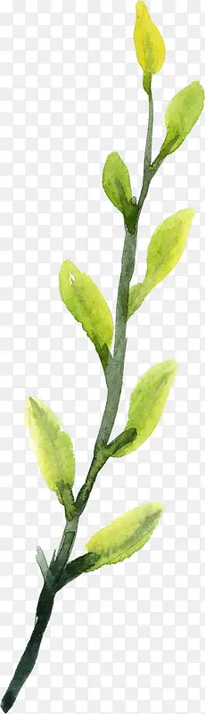 ˮ�ʲ���ɫ��ѿ-������