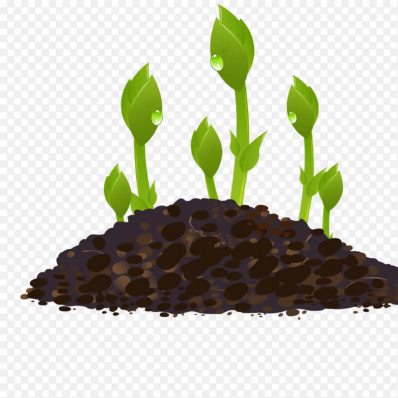 С��Ԫ��-������