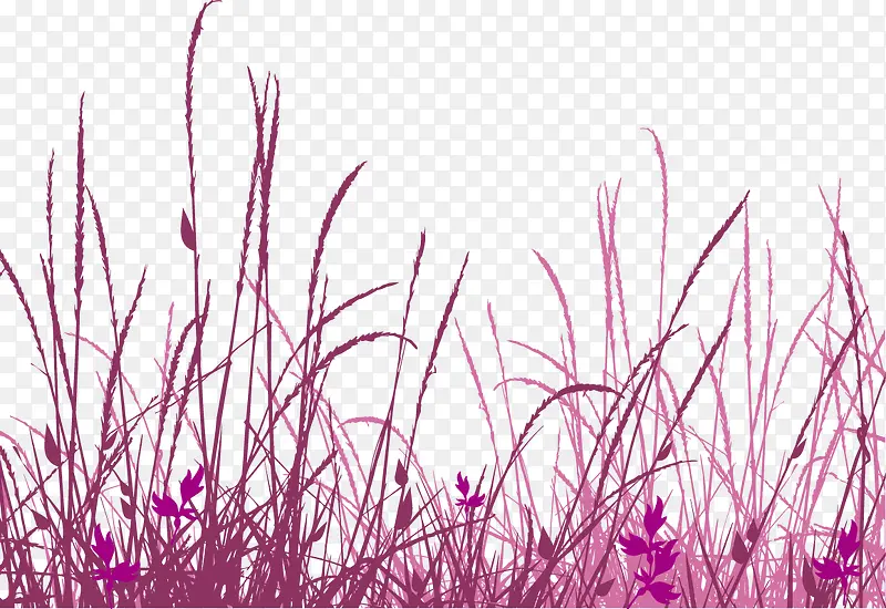 ʸ��С��-������