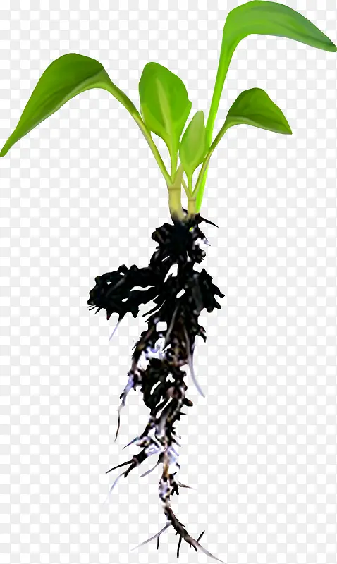 ��-������