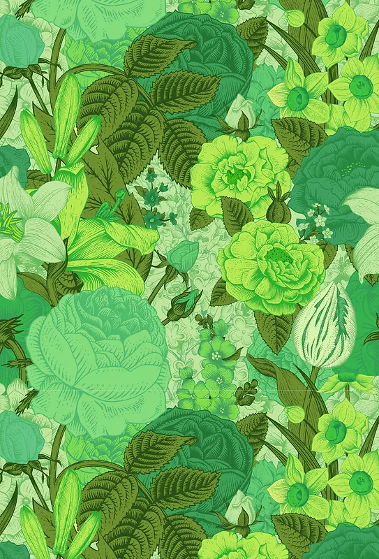 ���󱳾�-������