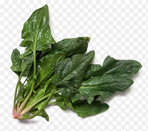 �л�����-������