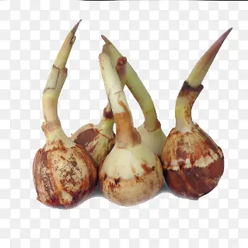 ʱ��Ӧ���߲˰״ȹ�-������