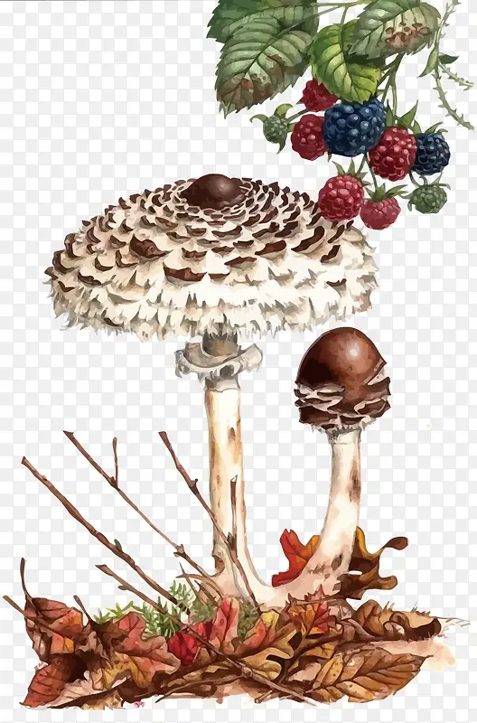 ʸ��Ұ��Ģ��-������